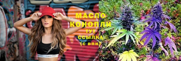 крисы Абаза
