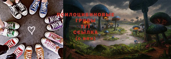 скорость Нягань