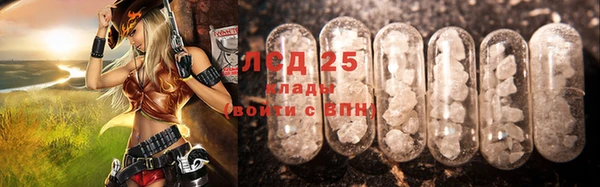 крисы Абаза