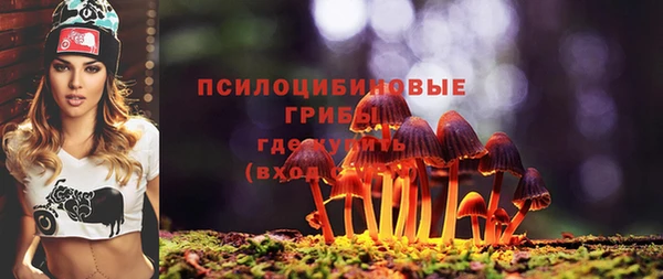 бутират Нязепетровск