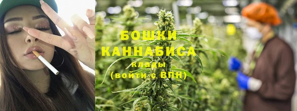 прущие крисы Няндома